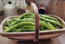 Trug_Beans
