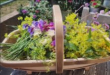 Trug_Weeding