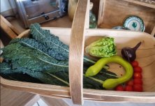 Garden_Peas_Trug
