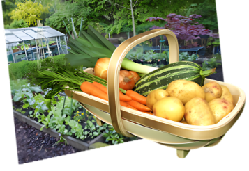 Trug in Allotment