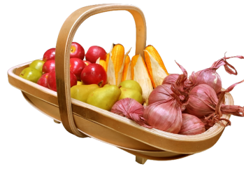 Sussex Trug filled with garden or allotment vegetables